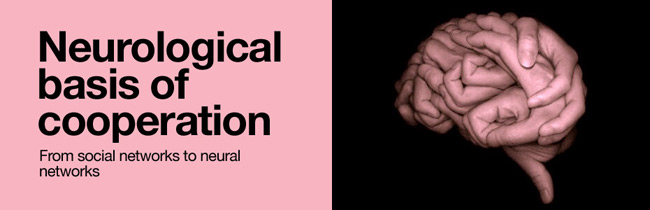 neurological-basis-of-cooperation