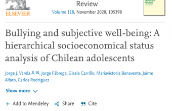 Bullying and subjective well-being: A hierarchical socioeconomical status analysis of Chilean adolescents