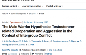 The Male Warrior Hypothesis: Testosterone-related Cooperation and Aggression in the Context of Intergroup Conflict