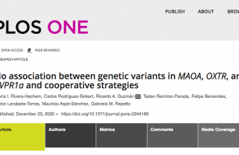 No association between genetic variants in MAOA, OXTR, and AVPR1a and cooperative strategies