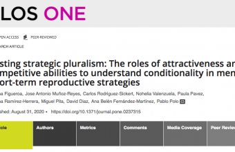 Testing strategic pluralism: The roles of attractiveness and competitive abilities to understand conditionality in men’s short-term reproductive strategies